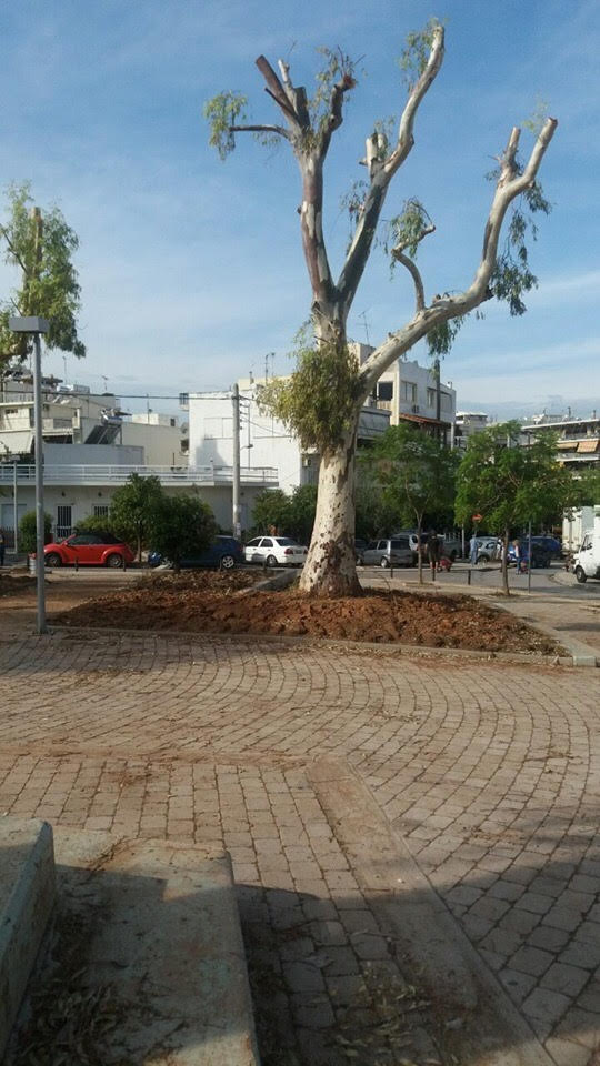 &Eta; &pi;&lambda;&alpha;&tau;&epsilon;ί&alpha; &Pi;&alpha;&nu;&alpha;&gamma;&omicron;ύ&lambda;&eta; &laquo;&pi;&rho;&alpha;&sigma;&iota;&nu;ί&zeta;&epsilon;&iota;&raquo;