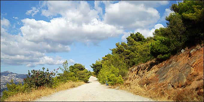 &Delta;&iota;&alpha;&kappa;&omicron;&pi;ή &kappa;&upsilon;&kappa;&lambda;&omicron;&phi;&omicron;&rho;ί&alpha;&sigmaf; &sigma;&tau;&omicron; &omicron;&delta;&iota;&kappa;ό &delta;ί&kappa;&tau;&upsilon;&omicron; &tau;&omicron;&upsilon; &omicron;&rho;&epsilon;&iota;&nu;&omicron;ύ ό&gamma;&kappa;&omicron;&upsilon; &Upsilon;&mu;&eta;&tau;&tau;&omicron;ύ