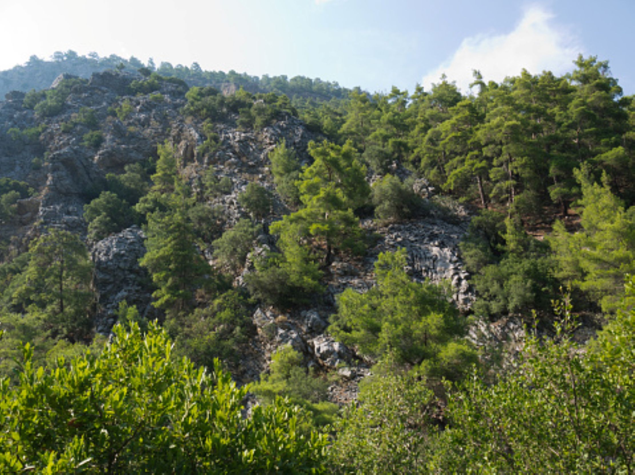 Ένας κρυμμένος παράδεισος στην Αττική, μόλις 50 λεπτά από την Αθήνα
