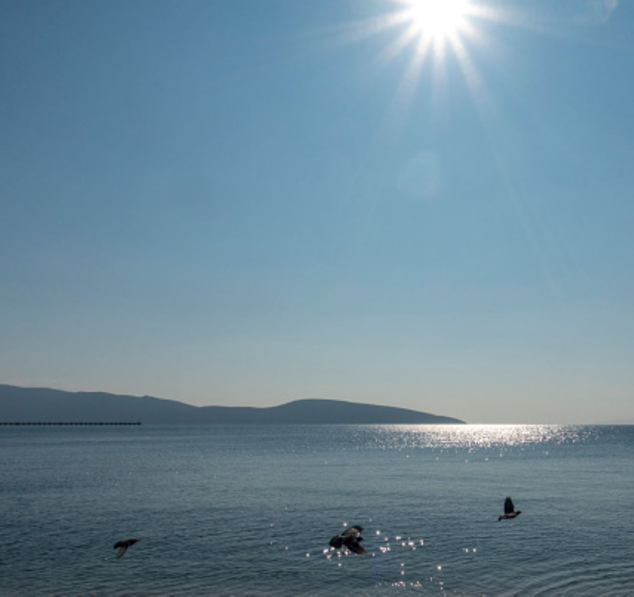 &Alpha;&nu;&omicron;&iota;&xi;&iota;ά&tau;&iota;&kappa;&omicron;&sigmaf; &kappa;&alpha;&iota;&rho;ό&sigmaf; &pi;&rho;&iota;&nu; &tau;&omicron; &Pi;ά&sigma;&chi;&alpha;: &Zeta;έ&sigma;&tau;&eta;, ή&lambda;&iota;&omicron;&sigmaf; &kappa;&alpha;&iota; &tau;&omicron;&pi;&iota;&kappa;&omicron;ί ά&nu;&epsilon;&mu;&omicron;&iota;