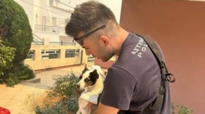 &Pi;&alpha;&rho;&omicron;ύ&sigma;&alpha; &eta; &epsilon;&lambda;&lambda;&eta;&nu;&iota;&kappa;ή &alpha;&sigma;&tau;&upsilon;&nu;&omicron;&mu;ί&alpha; &sigma;&tau;&eta; &mu;ά&chi;&eta; &tau;&omega;&nu; &pi;&upsilon;&rho;&kappa;&alpha;&gamma;&iota;ώ&nu; 