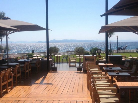 &Omicron;&Sigma;&Tau;&Rho;&Iota;&Alpha; &kappa;&alpha;&phi;έ