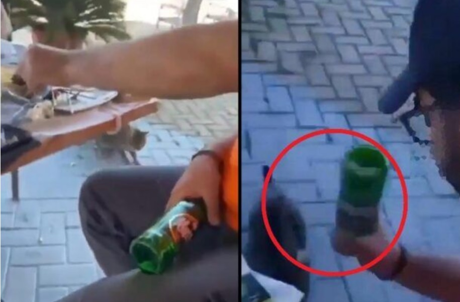 &Theta;ά&sigma;&omicron;&sigmaf;: &Delta;&iota;&kappa;&omicron;&gamma;&rho;&alpha;&phi;ί&alpha; &kappa;&alpha;&tau;ά &tau;&omicron;&upsilon; &laquo;&nu;&tau;&alpha;ή&raquo; &pi;&omicron;&upsilon; &chi;&tau;ύ&pi;&eta;&sigma;&epsilon; &gamma;ά&tau;&alpha; &mu;&epsilon; &mu;&pi;&omicron;&upsilon;&kappa;ά&lambda;&iota;