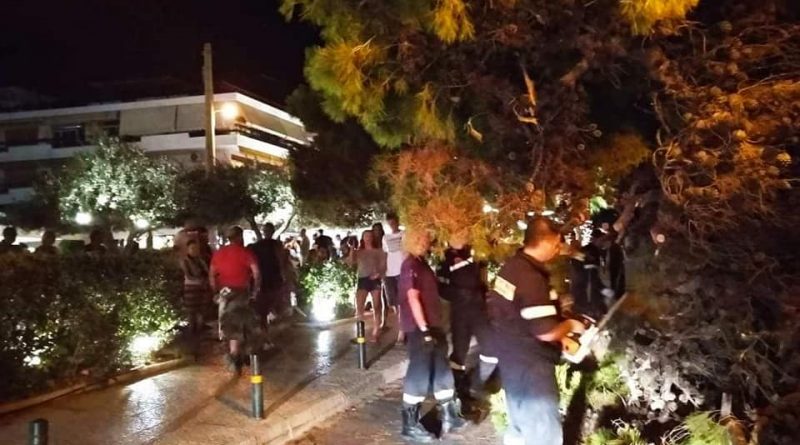 &Pi;&epsilon;ύ&kappa;&omicron; έ&pi;&epsilon;&sigma;&epsilon; &sigma;&tau;&eta; &Beta;&omicron;&upsilon;&lambda;&iota;&alpha;&gamma;&mu;έ&nu;&eta;