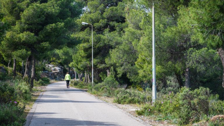 &Tau;&omicron; &Delta;&alpha;&sigma;&alpha;&rho;&chi;&epsilon;ί&omicron; &epsilon;&mu;&pi;&omicron;&delta;ί&zeta;&epsilon;&iota; &tau;&eta; &delta;&eta;&mu;&iota;&omicron;&upsilon;&rho;&gamma;ί&alpha; &pi;&epsilon;&zeta;&omicron;&pi;&omicron;&rho;&iota;&kappa;ώ&nu; &delta;&iota;&alpha;&delta;&rho;&omicron;&mu;ώ&nu; &sigma;&tau;&omicron;&nu; &Upsilon;&mu;&eta;&tau;&tau;ό