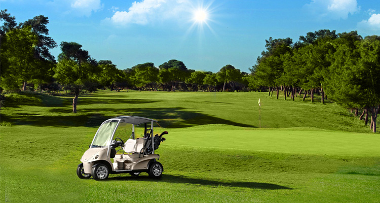 &Eta; Lifeline Hellas &delta;&iota;&omicron;&rho;&gamma;&alpha;&nu;ώ&nu;&epsilon;&iota; &phi;&iota;&lambda;&alpha;&nu;&theta;&rho;&omega;&pi;&iota;&kappa;ό &delta;&epsilon;ί&pi;&nu;&omicron; &sigma;&tau;&omicron; Golf &Gamma;&lambda;&upsilon;&phi;ά&delta;&alpha;&sigmaf;