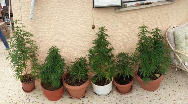 &Kappa;&alpha;&lambda;&lambda;&iota;&theta;έ&alpha;: &Kappa;&alpha;&lambda;&lambda;&iota;έ&rho;&gamma;&epsilon;&iota;&alpha; ''&chi;&alpha;&sigma;&iota;&sigmaf;'' &sigma;&epsilon; &delta;&iota;&alpha;&mu;έ&rho;&iota;&sigma;&mu;&alpha;! 