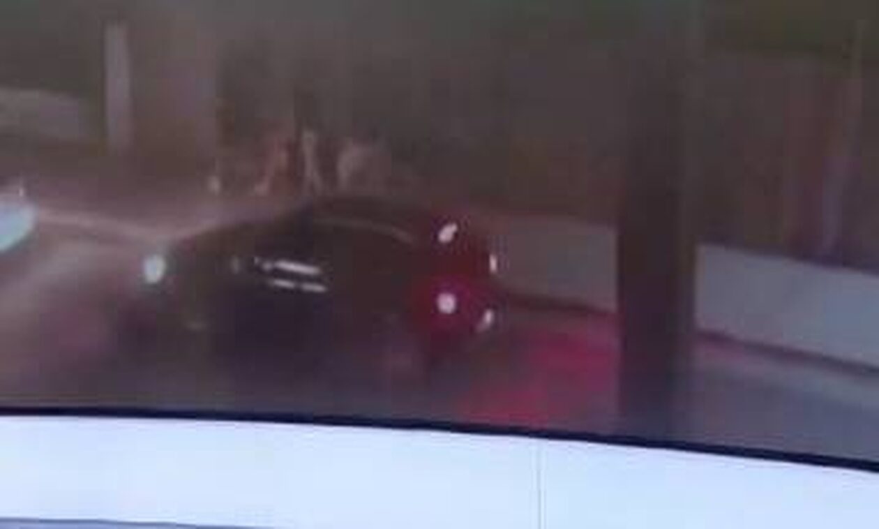 Ά&gamma;&rho;&iota;&alpha; &sigma;&upsilon;&mu;&pi;&lambda;&omicron;&kappa;ή &alpha;&nu;&eta;&lambda;ί&kappa;&omega;&nu; &sigma;&tau;&eta;&nu; &Kappa;&eta;&phi;&iota;&sigma;&iota;ά &gamma;&iota;&alpha; &tau;&alpha; &mu;ά&tau;&iota;&alpha; &mu;&iota;&alpha;&sigmaf; &kappa;&omicron;&pi;έ&lambda;&alpha;&sigmaf;